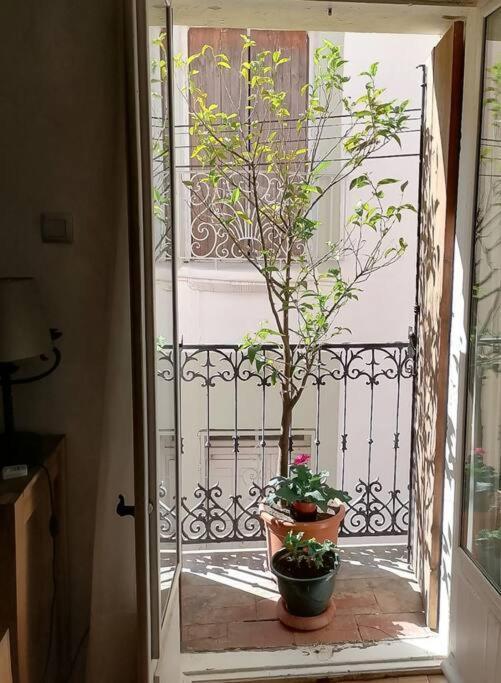 Maison De Village Dans Le Centre Du Vieux Quartier Marseillan  Εξωτερικό φωτογραφία